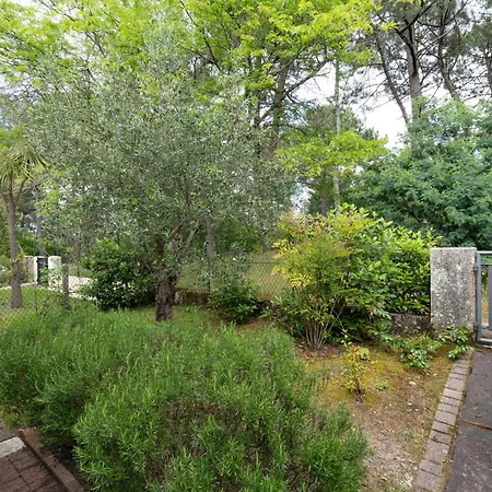 Holiday Etoile By Interhome Semesterbostad Arcachon